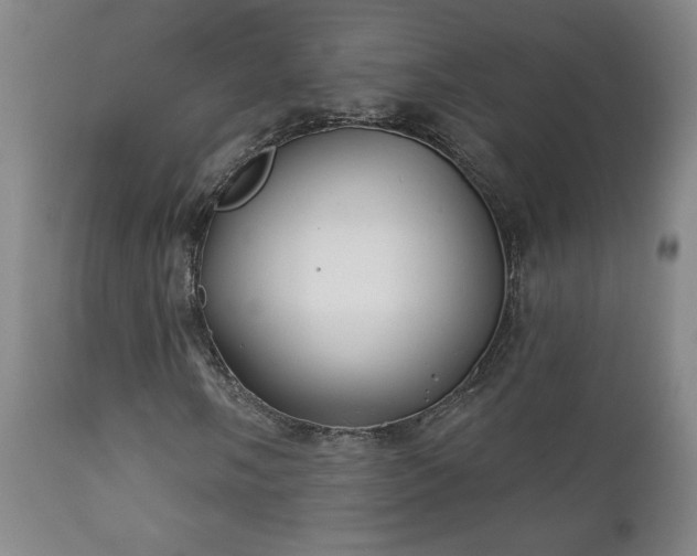 X0000112421058200908211141