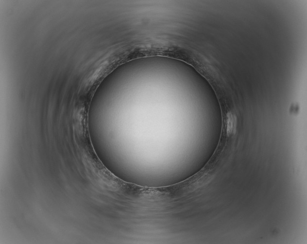 X0000112421059200908211141