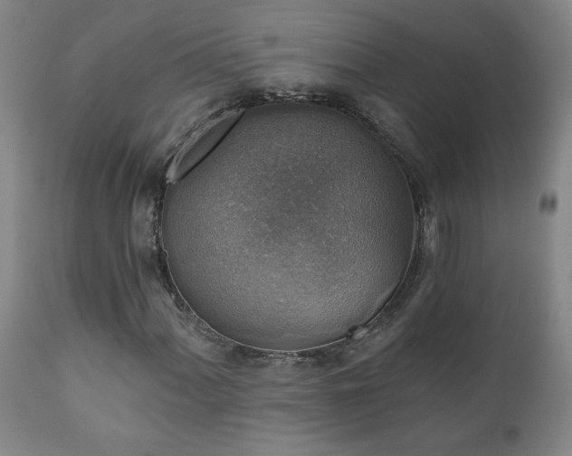 X0000112421060200908211140