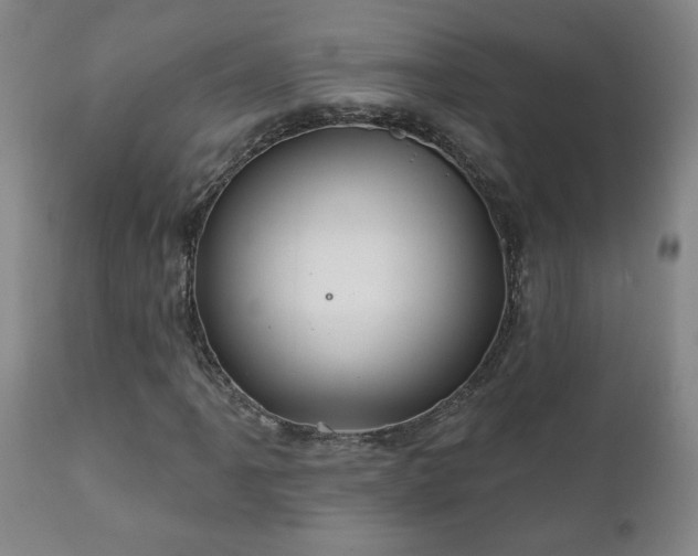 X0000112421061200908211140