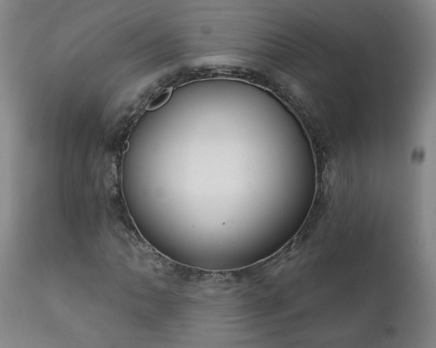 X0000112421062200908211140