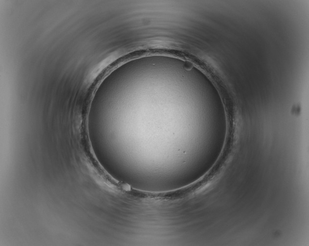 X0000112421065200908211140