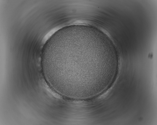 X0000112421066200908211140