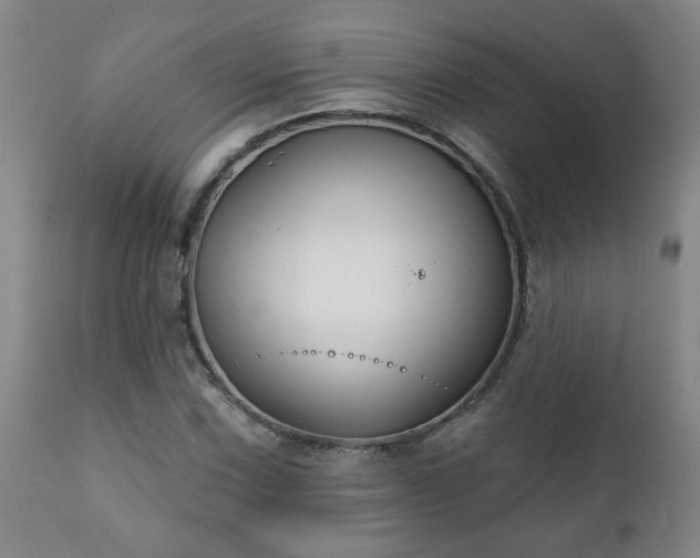 X0000112421067200908211140