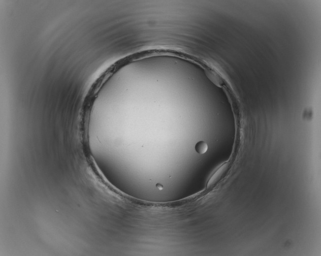 X0000112421068200908211140