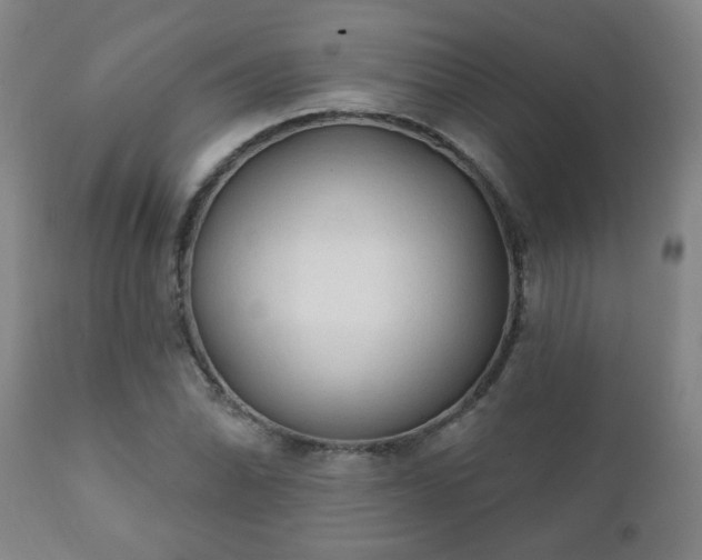 X0000112421070200908211140