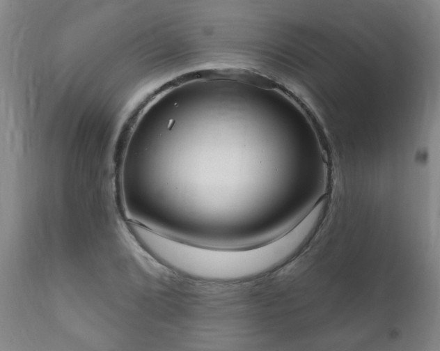 X0000112421072200908211140