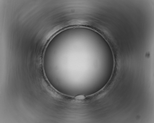 X0000112421073200908211140