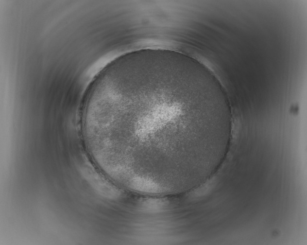 X0000112421074200908211140