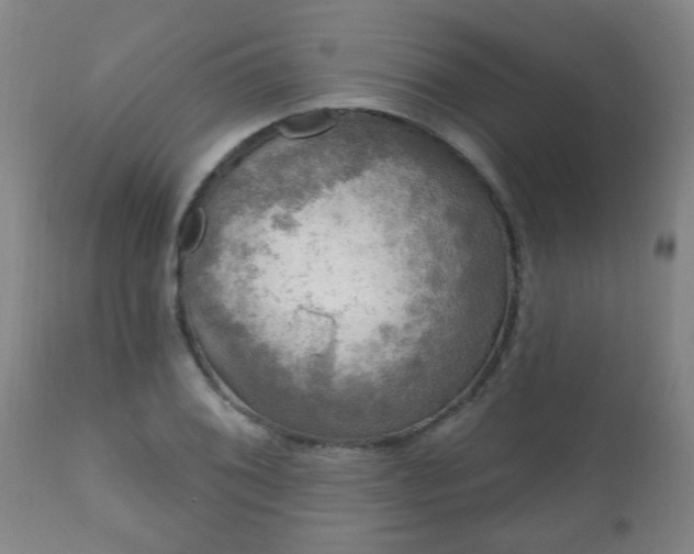 X0000112421076200908211140