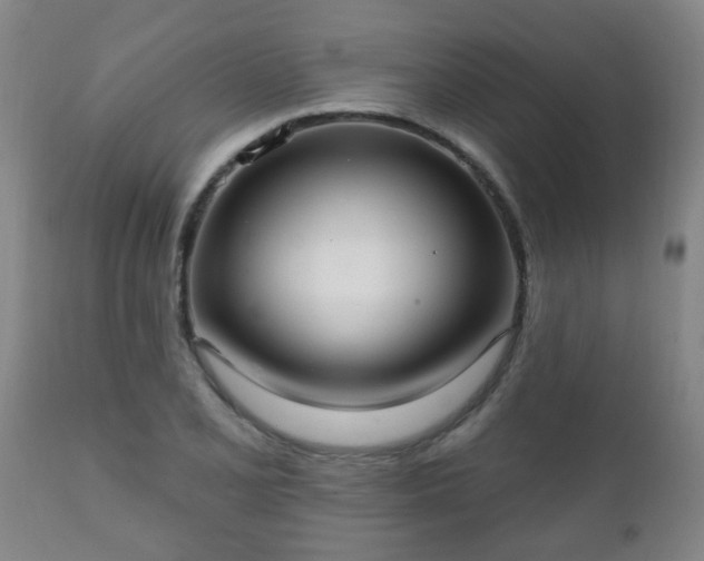 X0000112421077200908211140