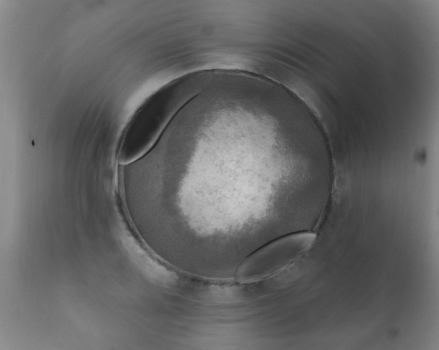 X0000112421080200908211140