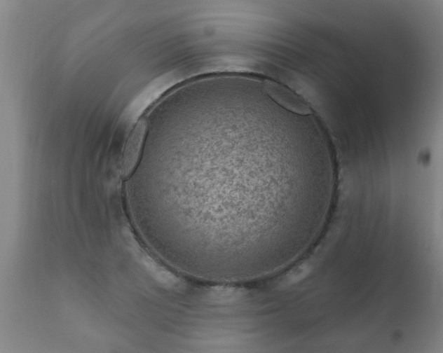 X0000112421081200908211140