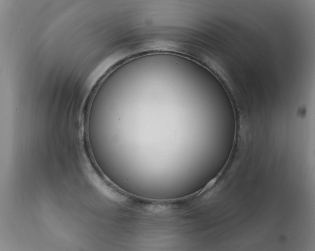 X0000112421082200908211140