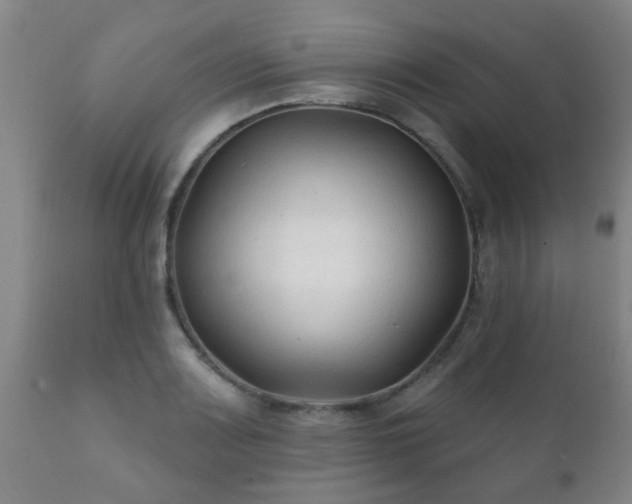 X0000112421083200908211140