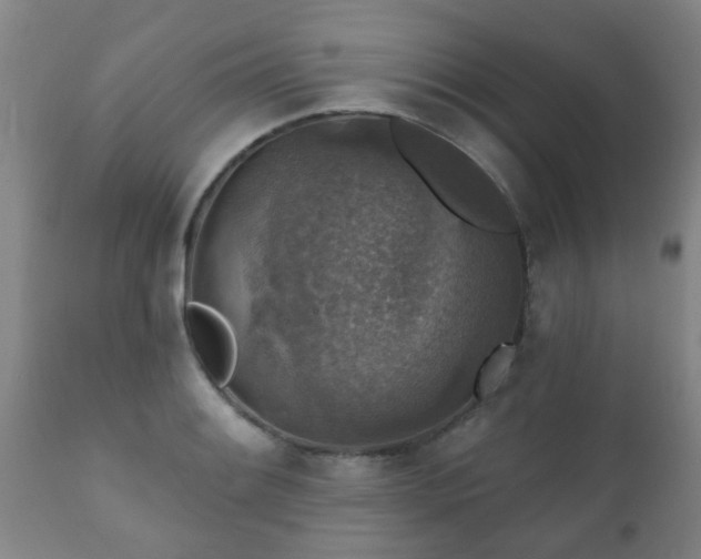 X0000112421084200908211140