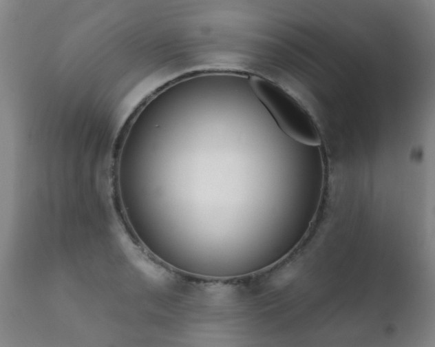 X0000112421085200908211140