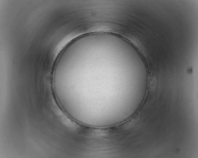 X0000112421086200908211140