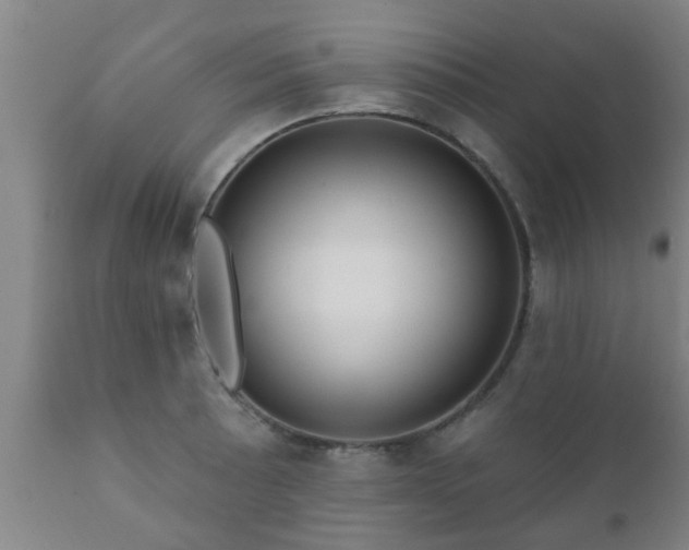 X0000112421089200908211140