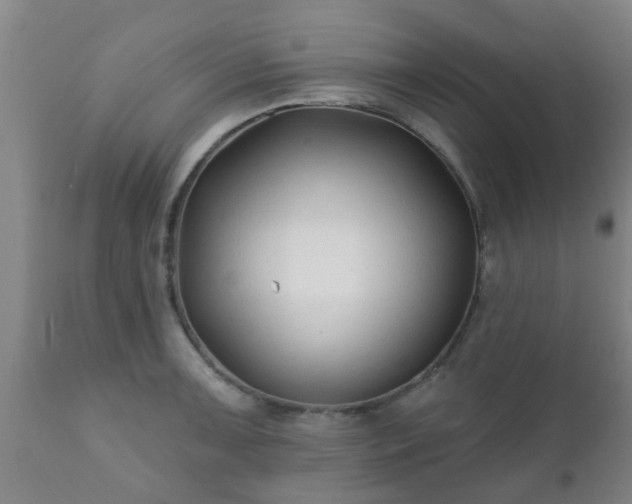 X0000112421091200908211140