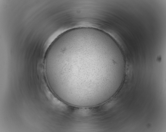 X0000112421094200908211140