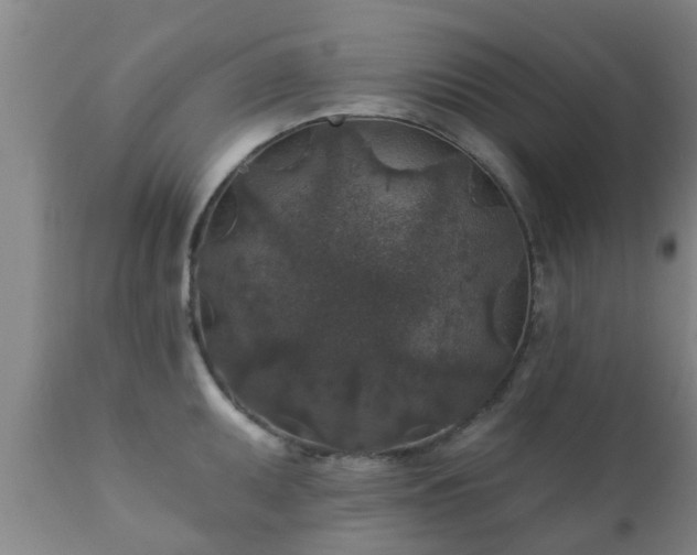 X0000112421095200908211140