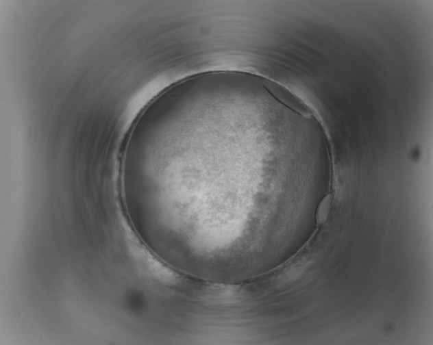 X0000112421096200908211140