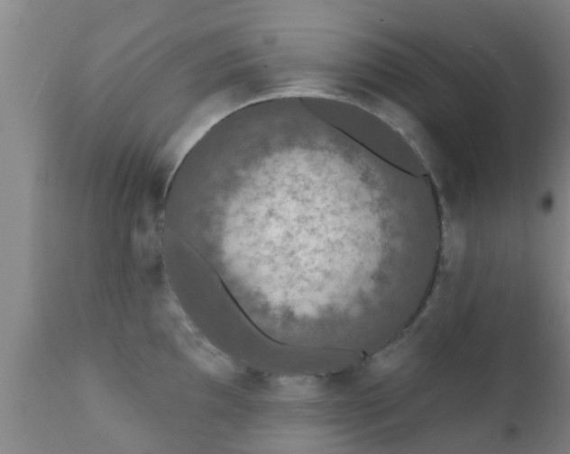 X0000112421097200908211140