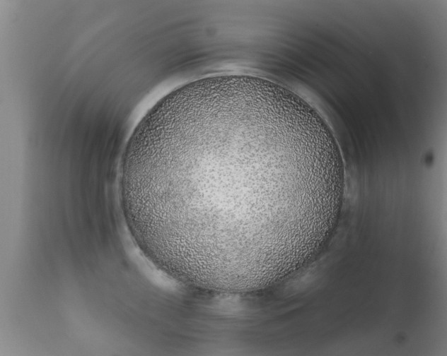 X0000112421098200908211140