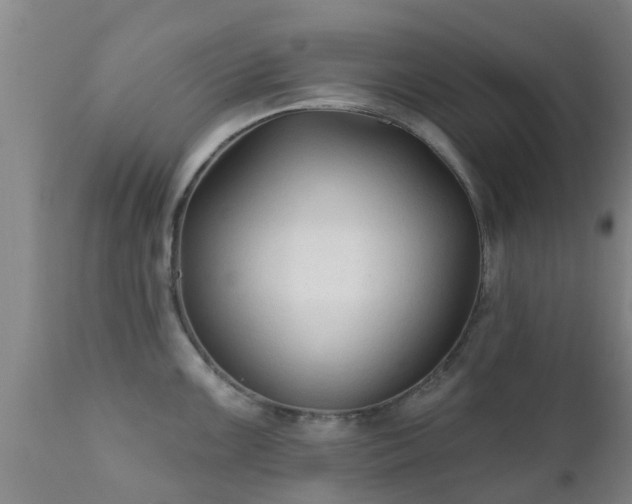 X0000112421099200908211140