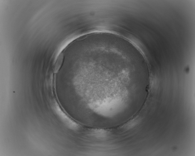 X0000112421100200908211140