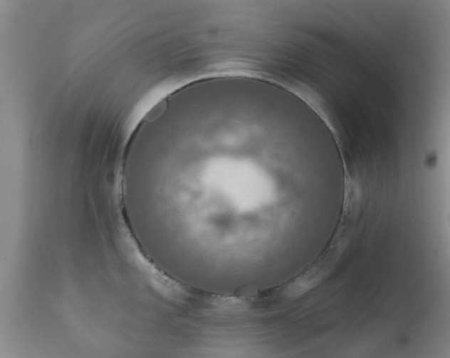 X0000112421101200908211140