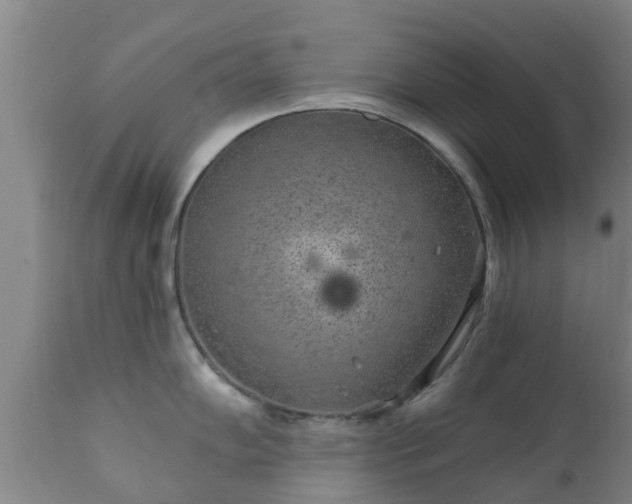 X0000112421102200908211140