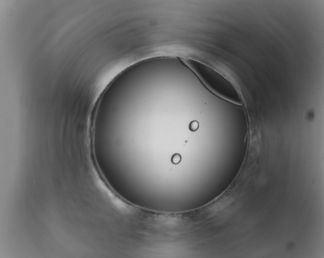 X0000112421103200908211140