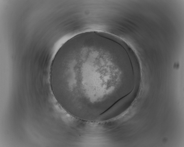 X0000112421104200908211140