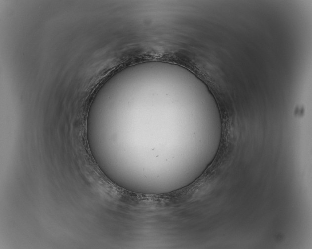 X0000112421105200908211139