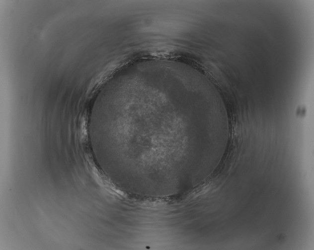 X0000112421106200908211139