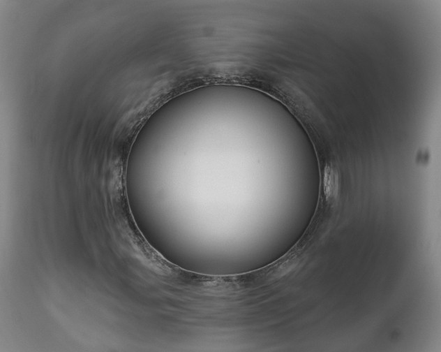 X0000112421107200908211139