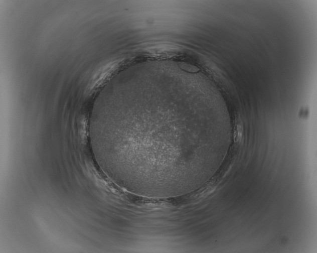 X0000112421108200908211139