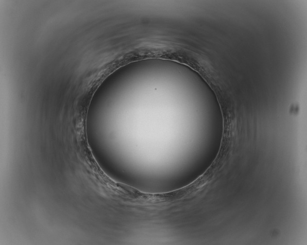 X0000112421109200908211139