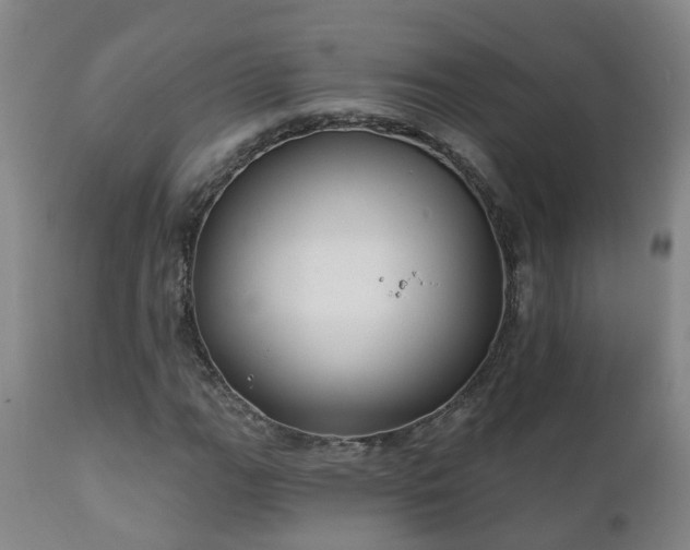 X0000112421111200908211139