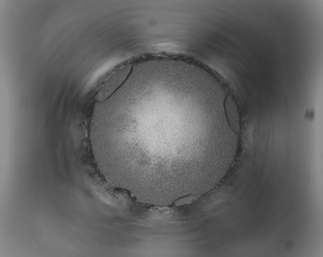 X0000112421112200908211139