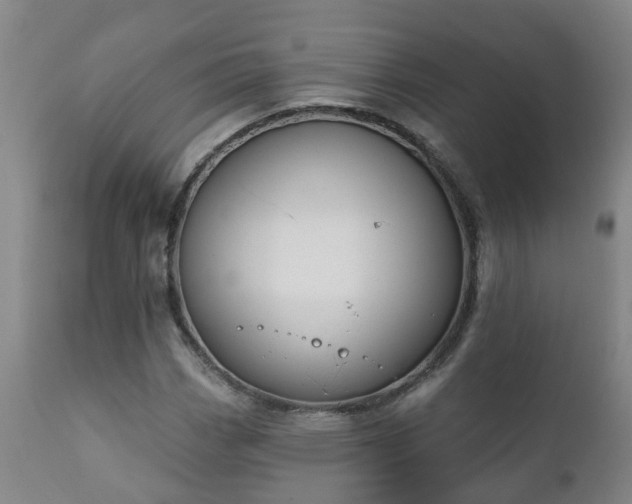 X0000112421113200908211139