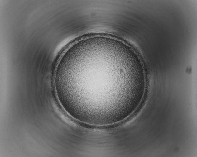 X0000112421114200908211139