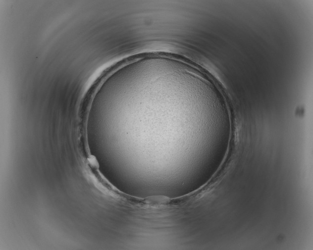 X0000112421116200908211139