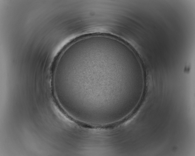 X0000112421118200908211139