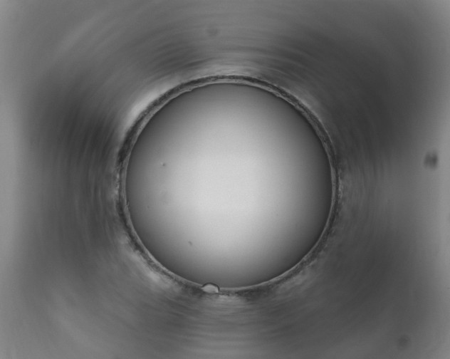 X0000112421119200908211139