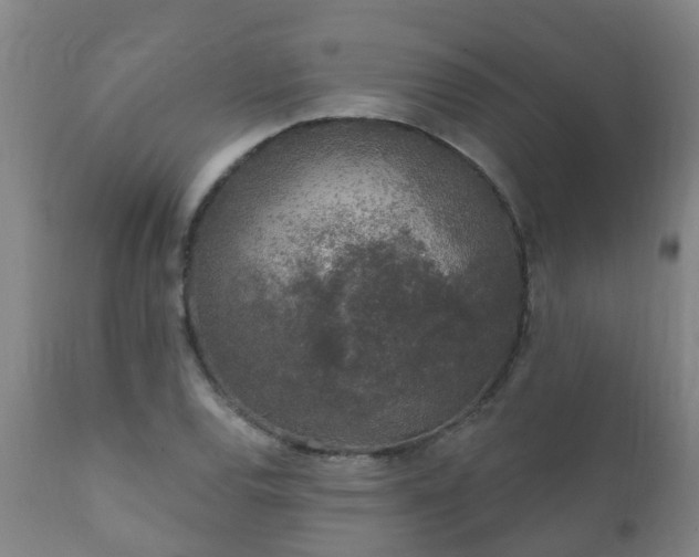 X0000112421120200908211139