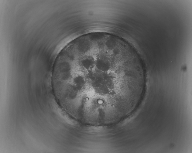 X0000112421121200908211139