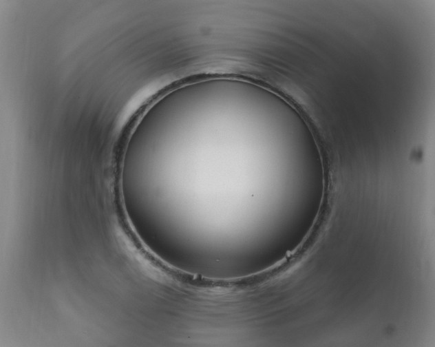 X0000112421122200908211139